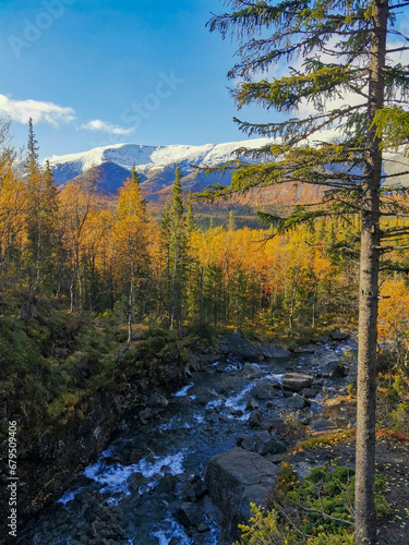 Autumn Arctic landscape in the Khibiny mountains. Kirovsk, Kola Peninsula, Polar Russia. Autumn colorful forest in the Arctic, Mountain hikes and adventures.