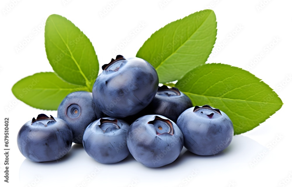 fresh tasty blueberry with leaves isolated on white background fresh tasty blueberry with leaves isolated on white background