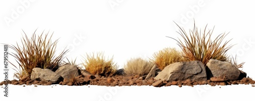 desert scene cutout, dry plants with rocks, isolated on white background banner, Generative AI photo