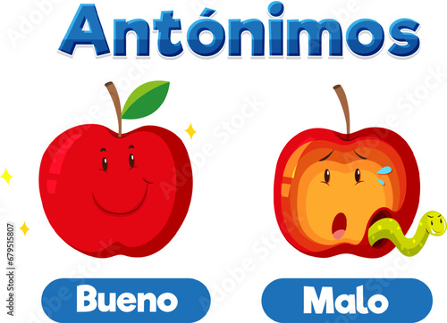 Antonym Word Card: Bueno and Malo means good and bad