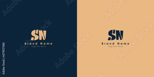 SN Letters vector logo design photo