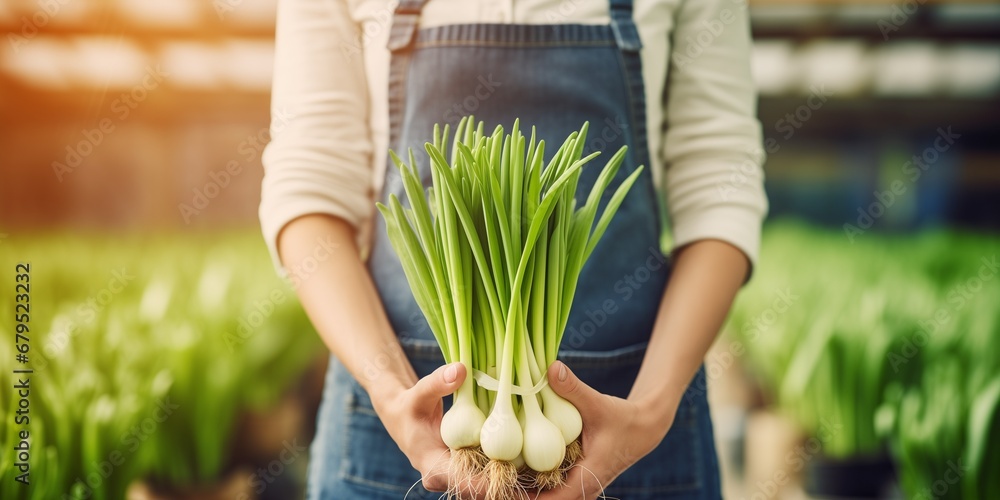 Obraz premium female farmer hold onion harvest