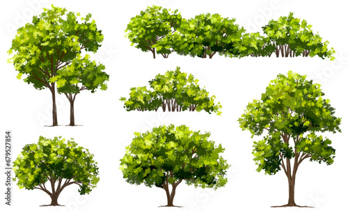Vertor set of green tree plants side view for landscape elevation element for backdrop eco environment concept design watercolor greenery scene
