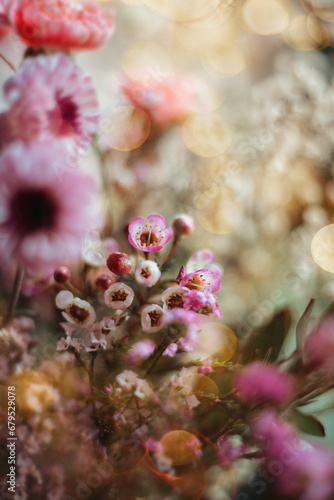 Bouquet of pink and purple flowers