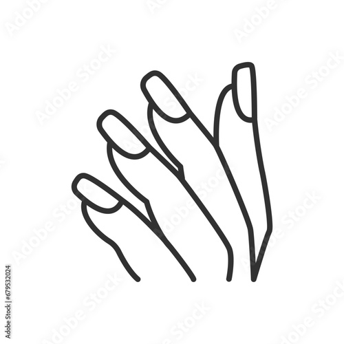Nails, manicure, linear icon. Line with editable stroke