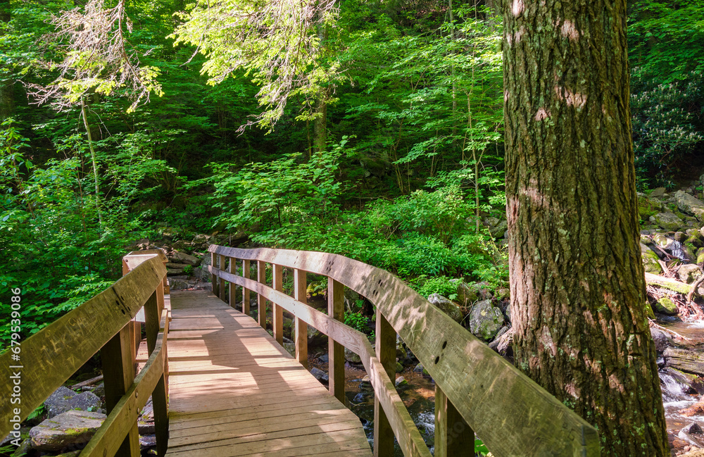 Obraz premium Blue Ridge Parkway, Famous Road linking Shenandoah National Park to Great Smoky Mountains National Park