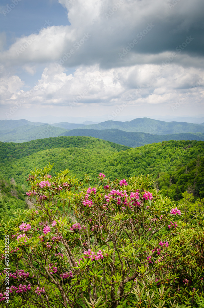Blue Ridge Parkway, Famous Road linking Shenandoah National Park to Great Smoky Mountains National Park Blue Ridge Parkway, Famous Road linking Shenandoah National Park to Great Smoky Mountains National Park