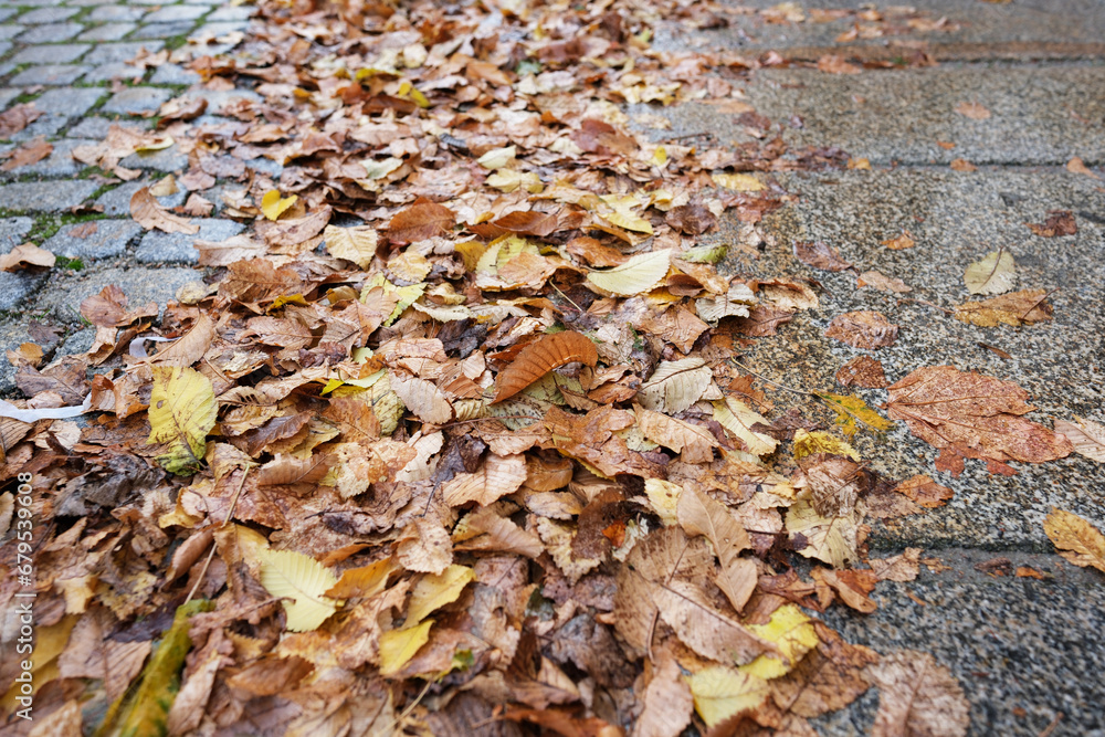 Herbstlaub am Straßenrand Herbstlaub am Straßenrand
