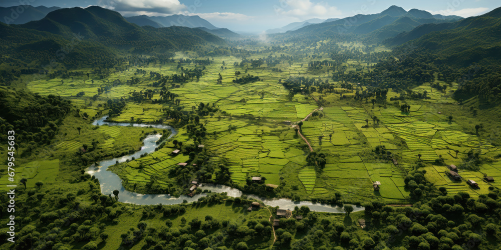 Jungle terrain adjacent to lush rice fields