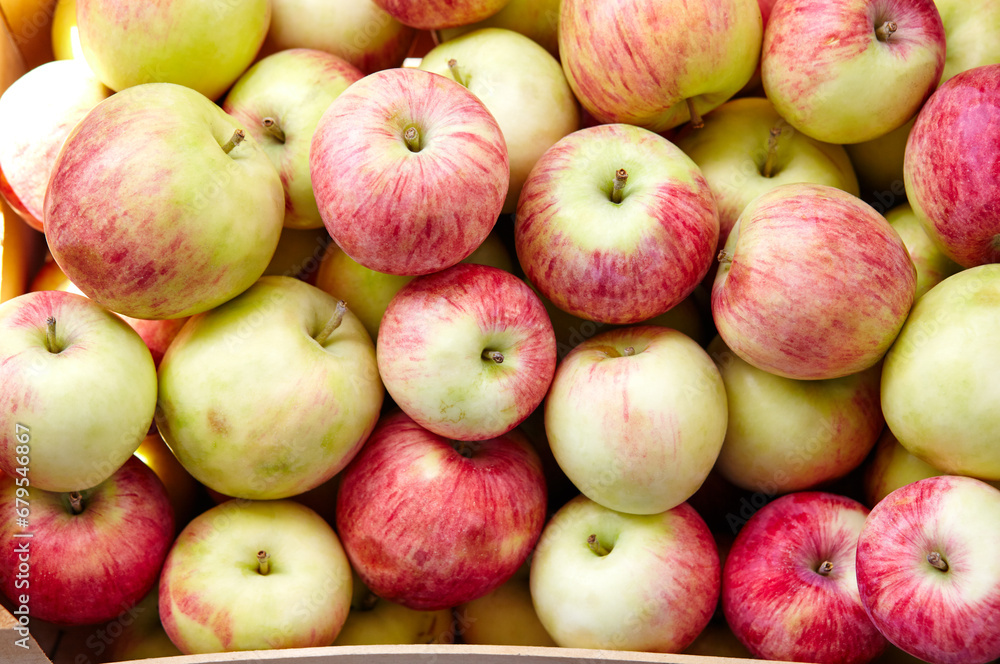 Wooden crate box full of fresh apples. Overhead view of fresh organic apples harvesting concept Wooden crate box full of fresh apples. Overhead view of fresh organic apples harvesting concept