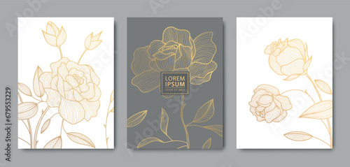 Vector set of luxury flower line pattern, golden background. Hand drawn plants, leaves, flowers for packaging, social media post, cover, banner, creative post and wall arts
