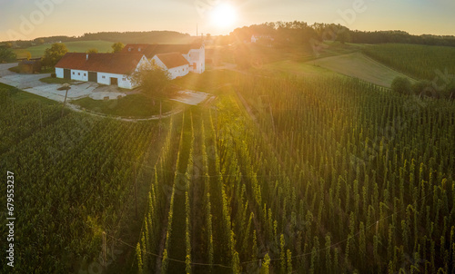 Bavarian Hop field with farm from top with sunset background photo
