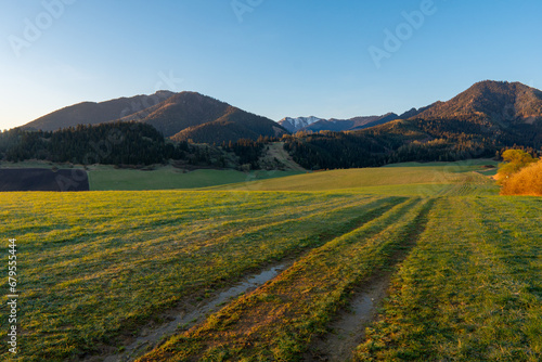 green field in countryside at sunset in the evening light. beautiful spring landscape in the mountains. grassy field and hills. rural scenery