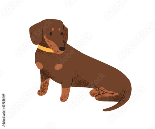 Cute puppy of Dachshund breed. Funny sausage dog. Long short doggie, companion pup. Lovely sweet nice canine animal, pet with collar. Flat vector illustration isolated on white background