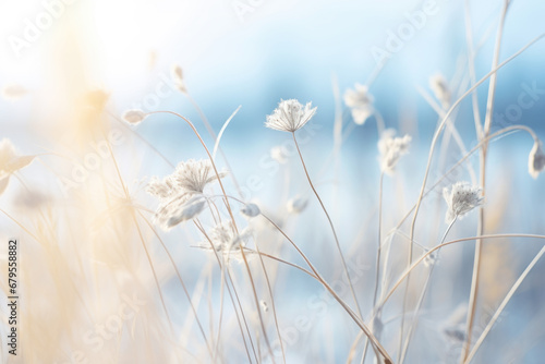 Abstract landscape of dry frozen wildflower and grass meadow Tranquil winter fall nature field background. © Jasmina