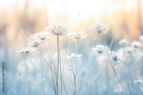 Abstract landscape of dry frozen wildflower and grass meadow Tranquil winter fall nature field background. photo