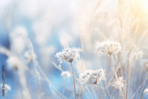 Abstract landscape of dry frozen wildflower and grass meadow Tranquil winter fall nature field background. © Jasmina