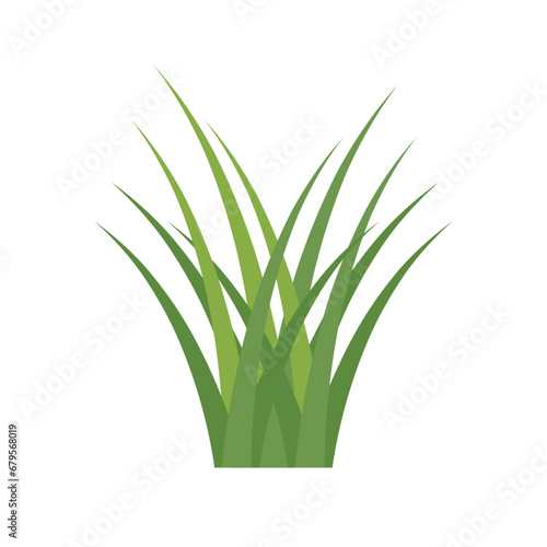 grass vector for background 