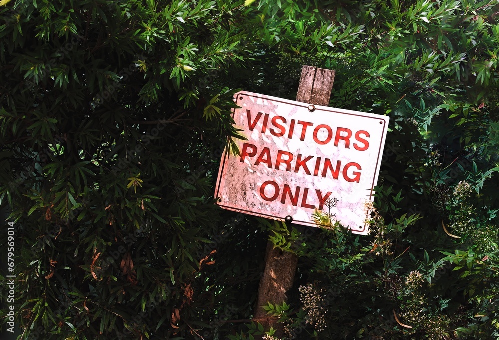Visitor Parking Only red and white sign, by a fence of bushes and plants. 