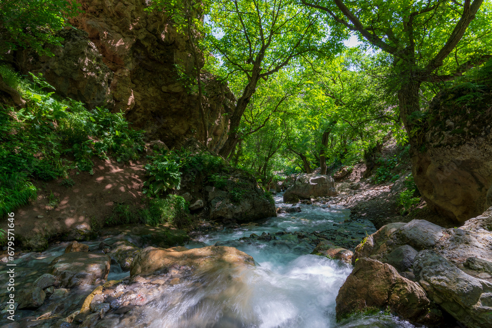 river in the forest river in the forest