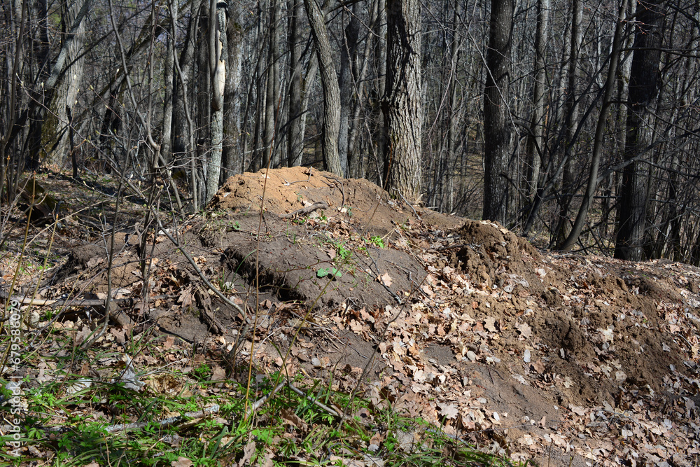 dirty pile in the forest with tree trunks on background
