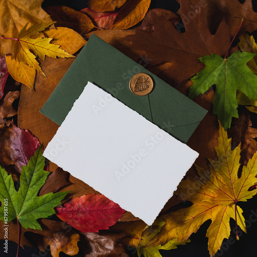 Wedding Flat lay. Wedding invitation set with card mockups for instagram. Wedding set with dark green envelope and an invitation form on a wooden background with fallen maple and oak leaves