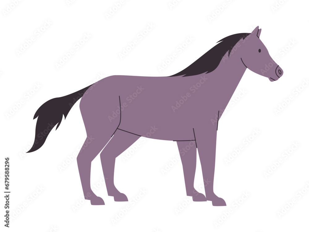gray color horse mare or stallion wild nature mammal animal have tail and power fast run
