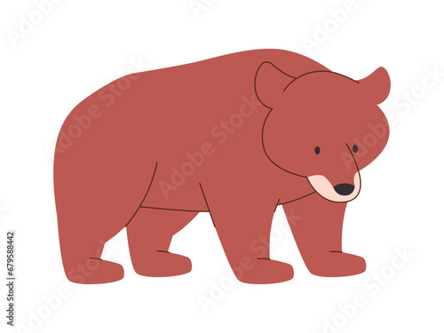 brown color grizzly bear wild nature animal dangerous big strong carnivore predator live in north american