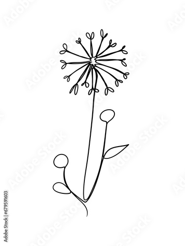 A Dandelion flower is drawn in one line style. Printable art.