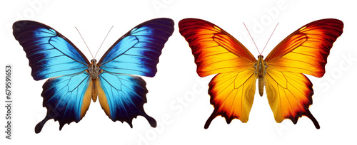 Generative image of a butterfly on a transparent background photo