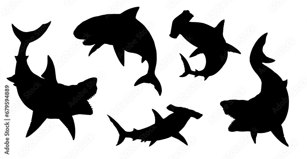 Set with sharks silhouettes: great white shark, megalodon, mako and hammerhead shark. Hand drawn illustration to cut out and glue. - obrazy, fototapety, plakaty 