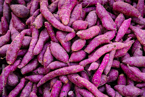 Fresh purple yams pile  in fresh market Fruits organic for good health. Foods and Fruits healthy concept