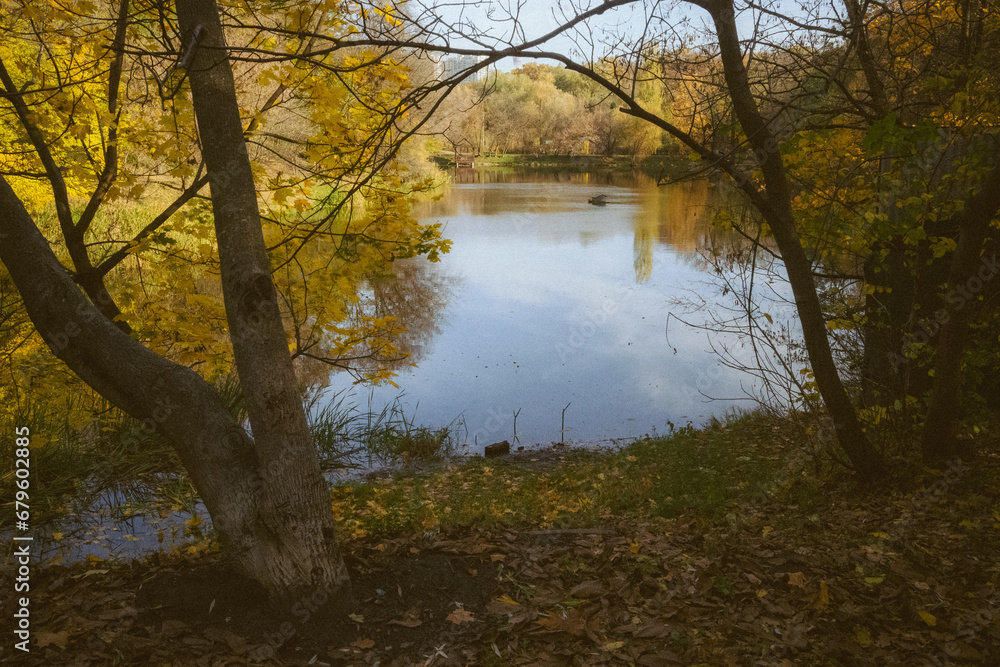 autumn in the park autumn in the park
