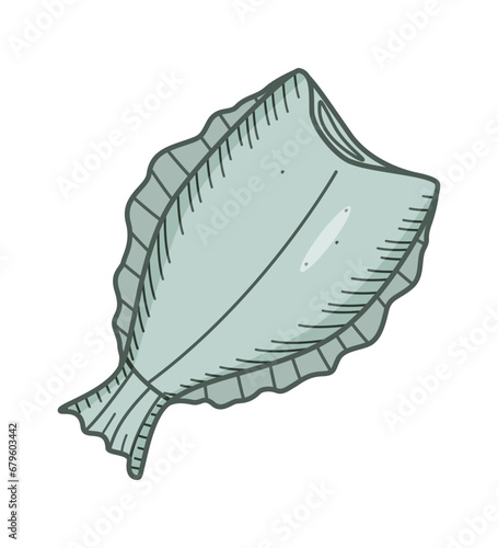 Halibut drawing doodle of a headless fish. Flounder vector illustration of raw or dried fish, seafood.