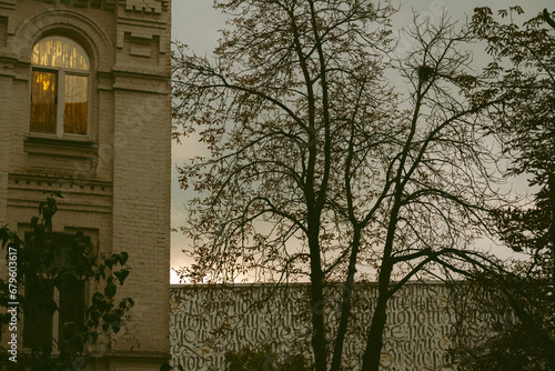 architecture details and tree, sunset, urban aesthetics
