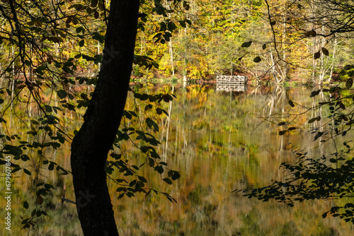 Yedigöller or Seven Lakes National Park is in Turkey.
Reflection of a lake with trees and blue sky in autumn colors. Yedigöller, Bolu.
Yedigöller in autumn. Bolu, Türkiye.