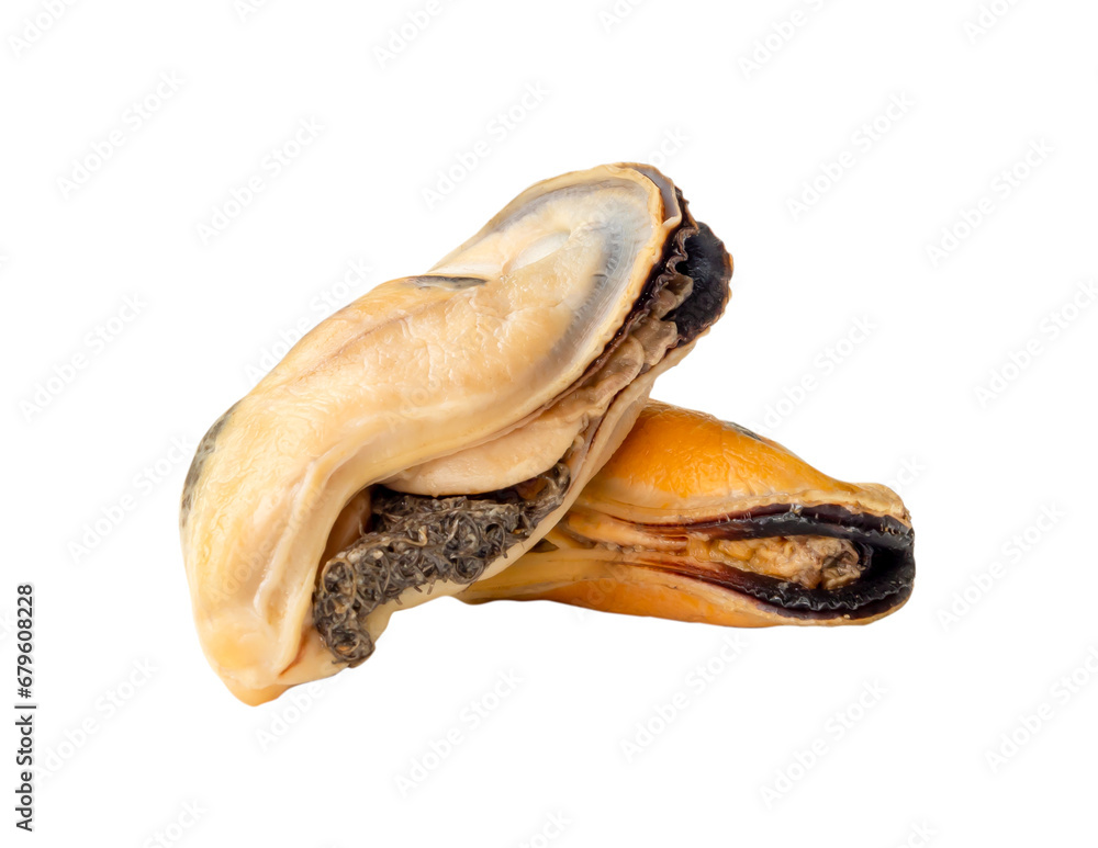 Steamed or cooked food of fresh beautiful green mussels in stack or cross shape without shells isolated on white background with clipping path in png file format