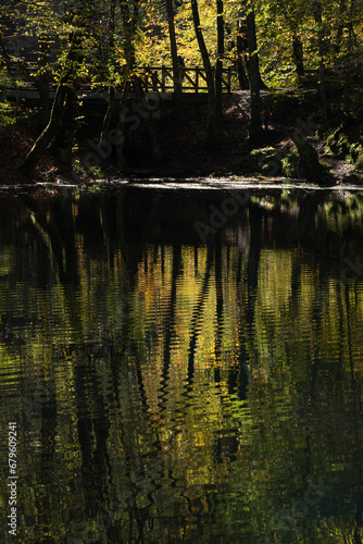 Yedigöller or Seven Lakes National Park is in Turkey.
Reflection of a lake with trees and blue sky in autumn colors. Yedigöller, Bolu.
Yedigöller in autumn. Bolu, Türkiye.