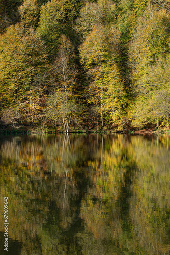 Yedigöller or Seven Lakes National Park is in Turkey.
Reflection of a lake with trees and blue sky in autumn colors. Yedigöller, Bolu.
Yedigöller in autumn. Bolu, Türkiye.