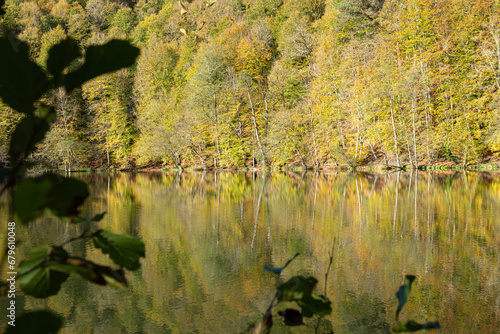 Yedigöller or Seven Lakes National Park is in Turkey.
Reflection of a lake with trees and blue sky in autumn colors. Yedigöller, Bolu.
Yedigöller in autumn. Bolu, Türkiye.