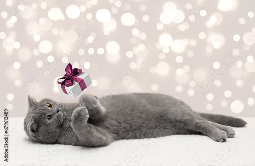 British cat and gift box with pink bow on the bokeh lights background. Cute cat catches gift with its paws. Christmas card with copy space. Festive sale concept. © miss.lemon