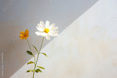 White and yellow daisy on a cracked wall. Generative Ai