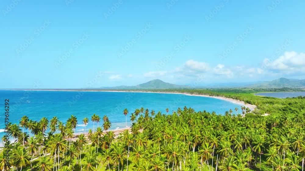Aerial view of vibrant coconut trees on a sunny Caribbean beach. Nature video. Scene of landscape view of the beach sea on a summer day. Palm trees on the seashore. Summer vacation. Aerial view of vibrant coconut trees on a sunny Caribbean beach. Nature video. Scene of landscape view of the beach sea on a summer day. Palm trees on the seashore. Summer vacation.