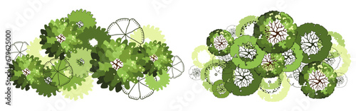 Tree for architectural floor plans. Entourage design. Various trees, bushes, and shrubs, top view for the landscape design plan. Vector illustration.