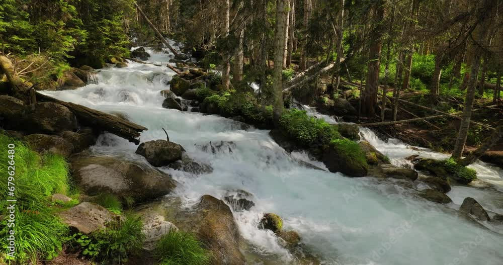 Mountain River in the wood. Beautiful wildlife landscape. Mountain River in the wood. Beautiful wildlife landscape.