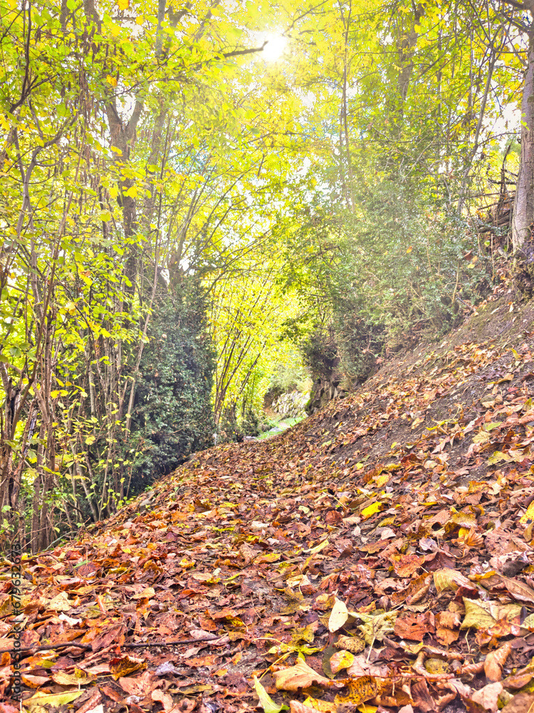Autumn walk through the valley floor. Autumn walk through the valley floor.
