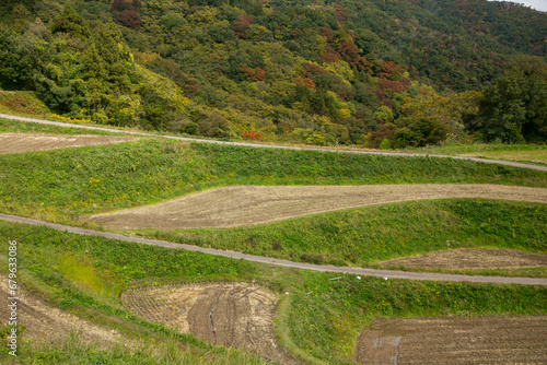 Rice terraces in Iwakubi, Sado Island, Niigata prefecture.