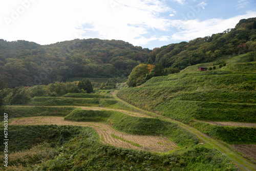 Wallpaper Mural Rice terraces in Iwakubi, Sado Island, Niigata prefecture. Torontodigital.ca