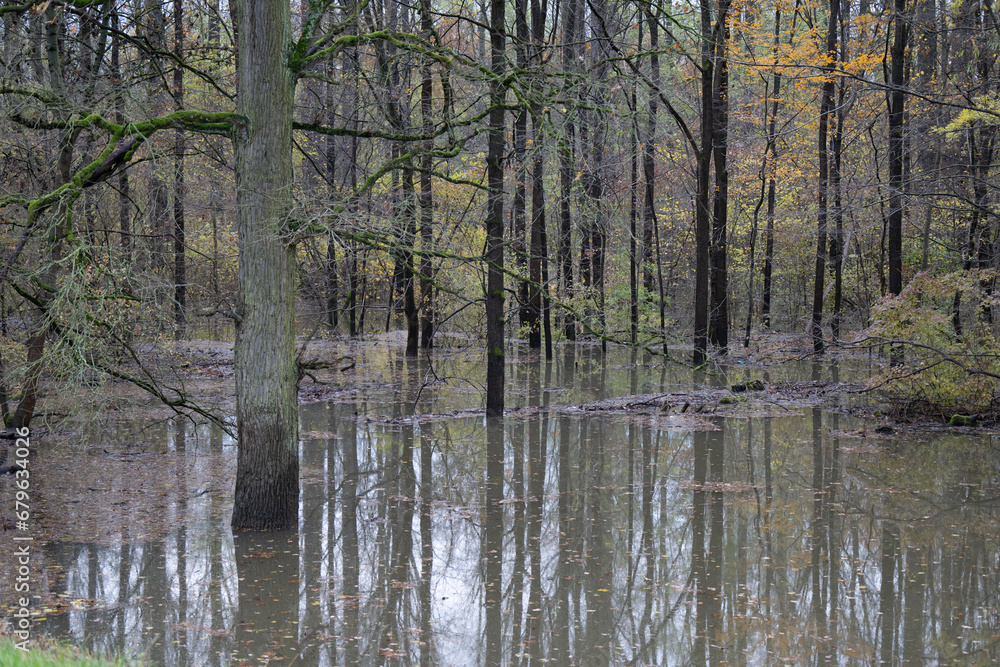 Obraz premium Thema: Hochwasser