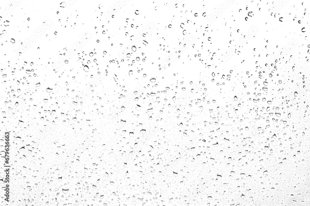 Wassertropfen Regentropfen regnerischer Nebel kleine Tröpfchen Tropfen auf transparentem durchsichtigem Hintergrund. - obrazy, fototapety, plakaty 